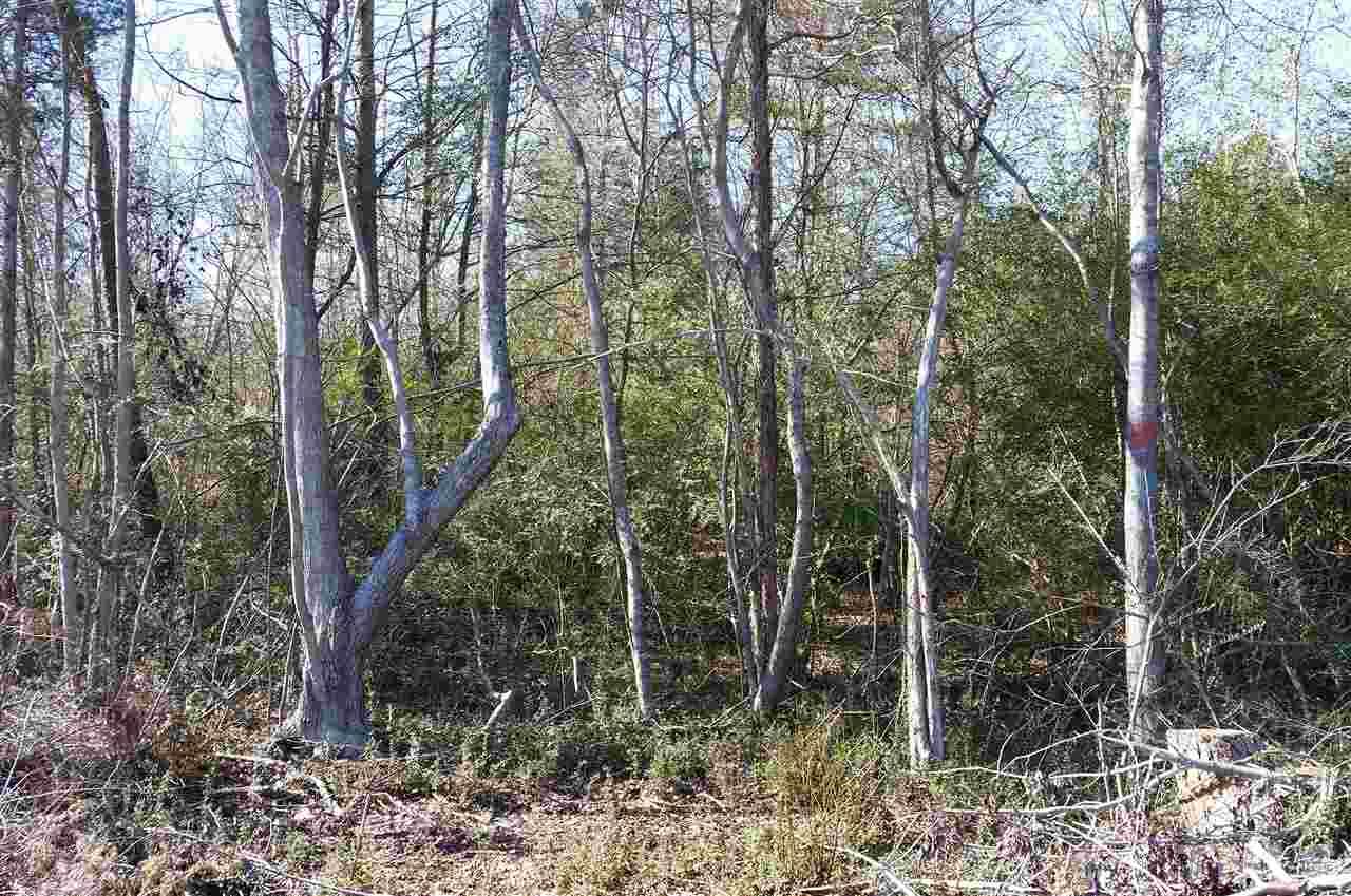 Chicken Bridge Road Pittsboro, NC 27312 - Photo 6 of 12 Gallery Image 6