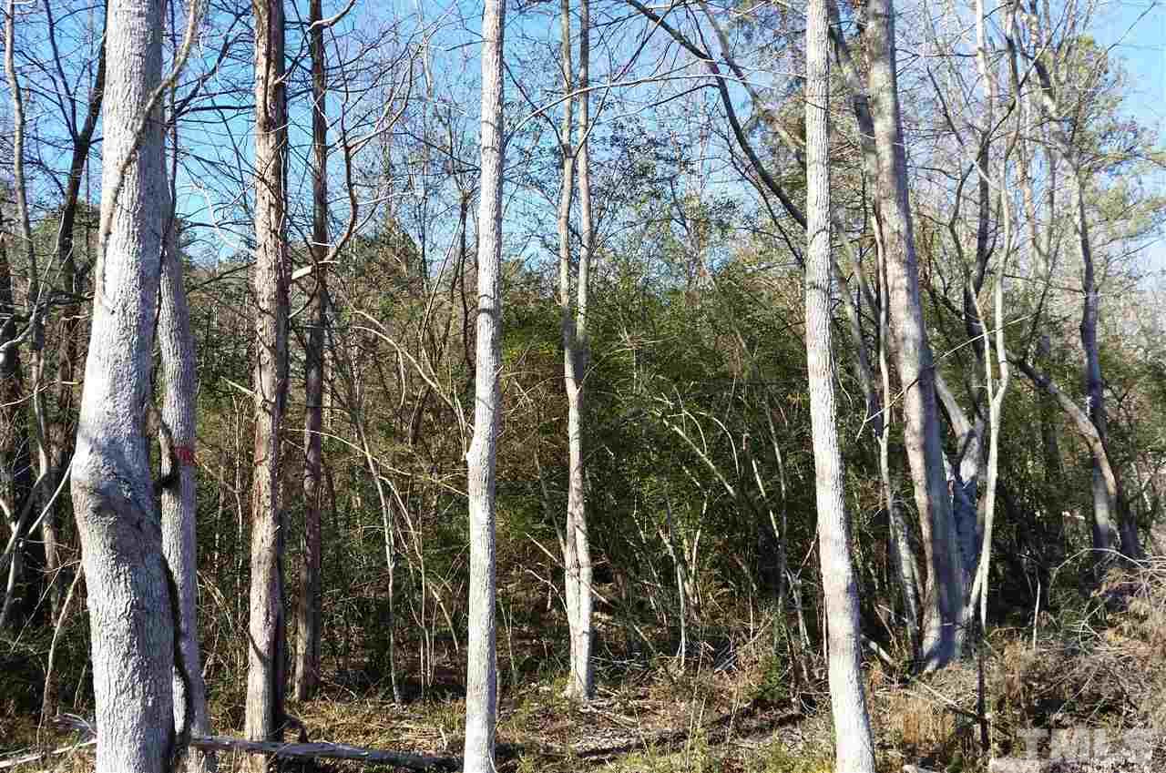Chicken Bridge Road Pittsboro, NC 27312 - Photo 7 of 12 Gallery Image 7