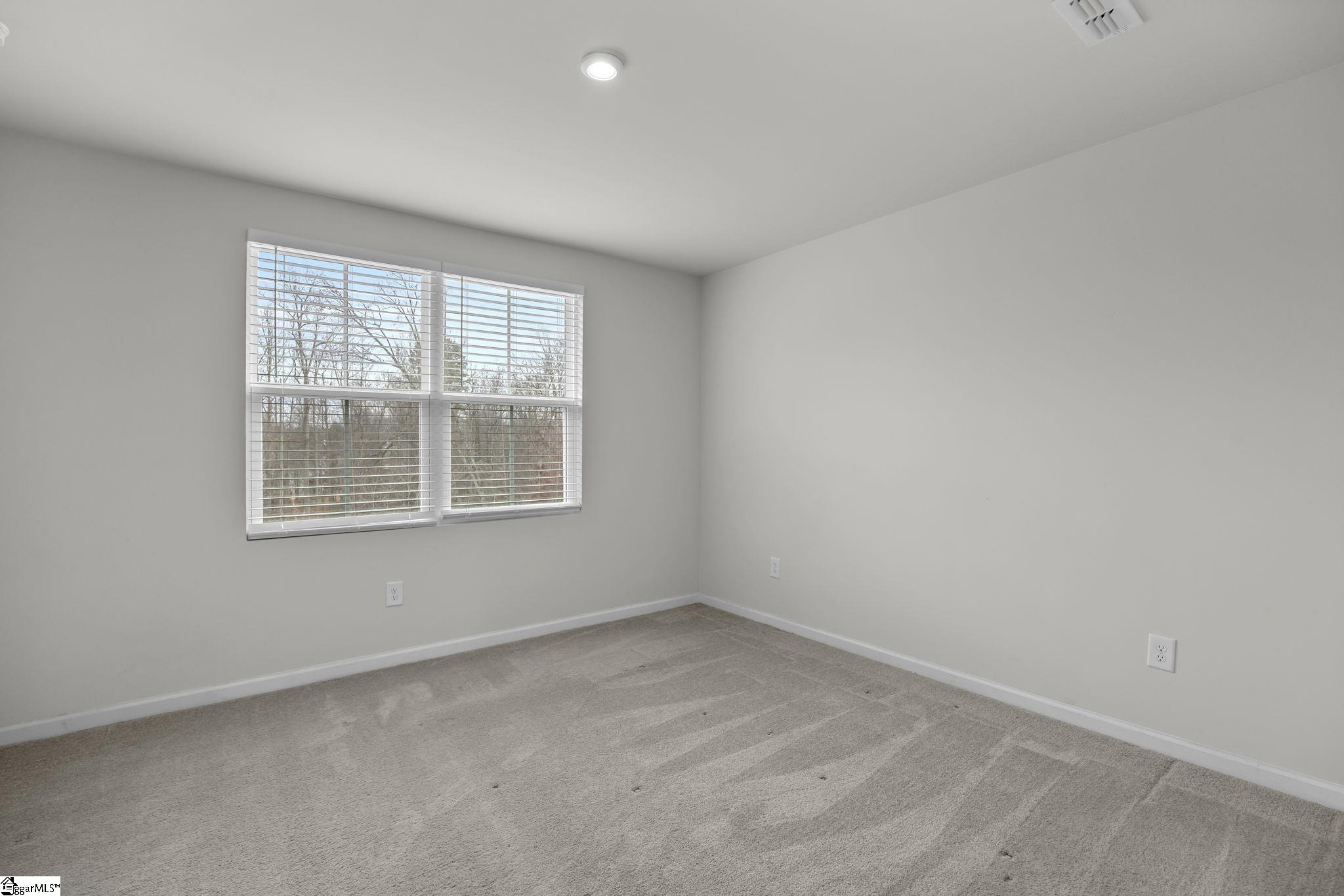 220 Juglans Way Greer, SC 29651 - Photo 17 of 37