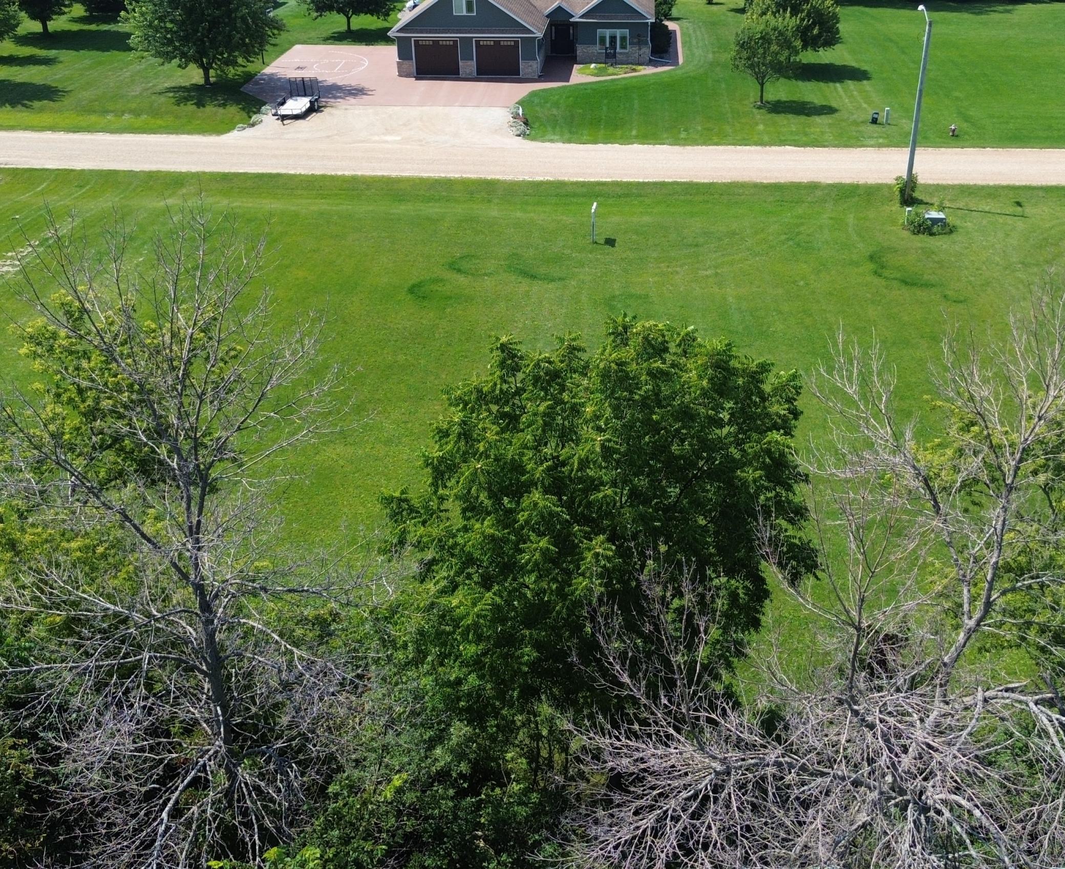 Tbd Tbd Cedar L3b2 Street Dexter, MN 55926 - Photo 3 of 4