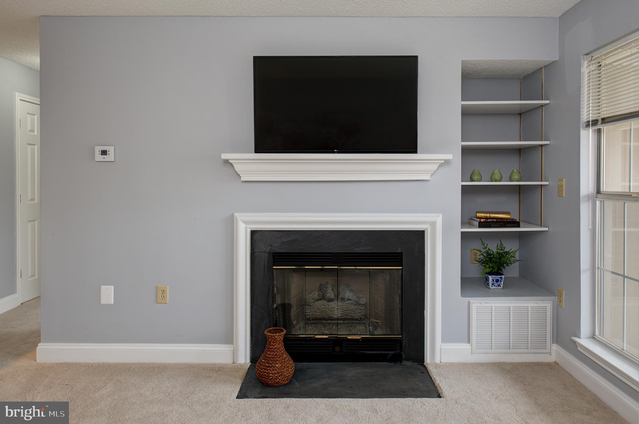 20951 Timber Ridge Terrace, Unit 202 Ashburn, VA 20147 - Photo 14 of 16 Gas fireplace and book case niche