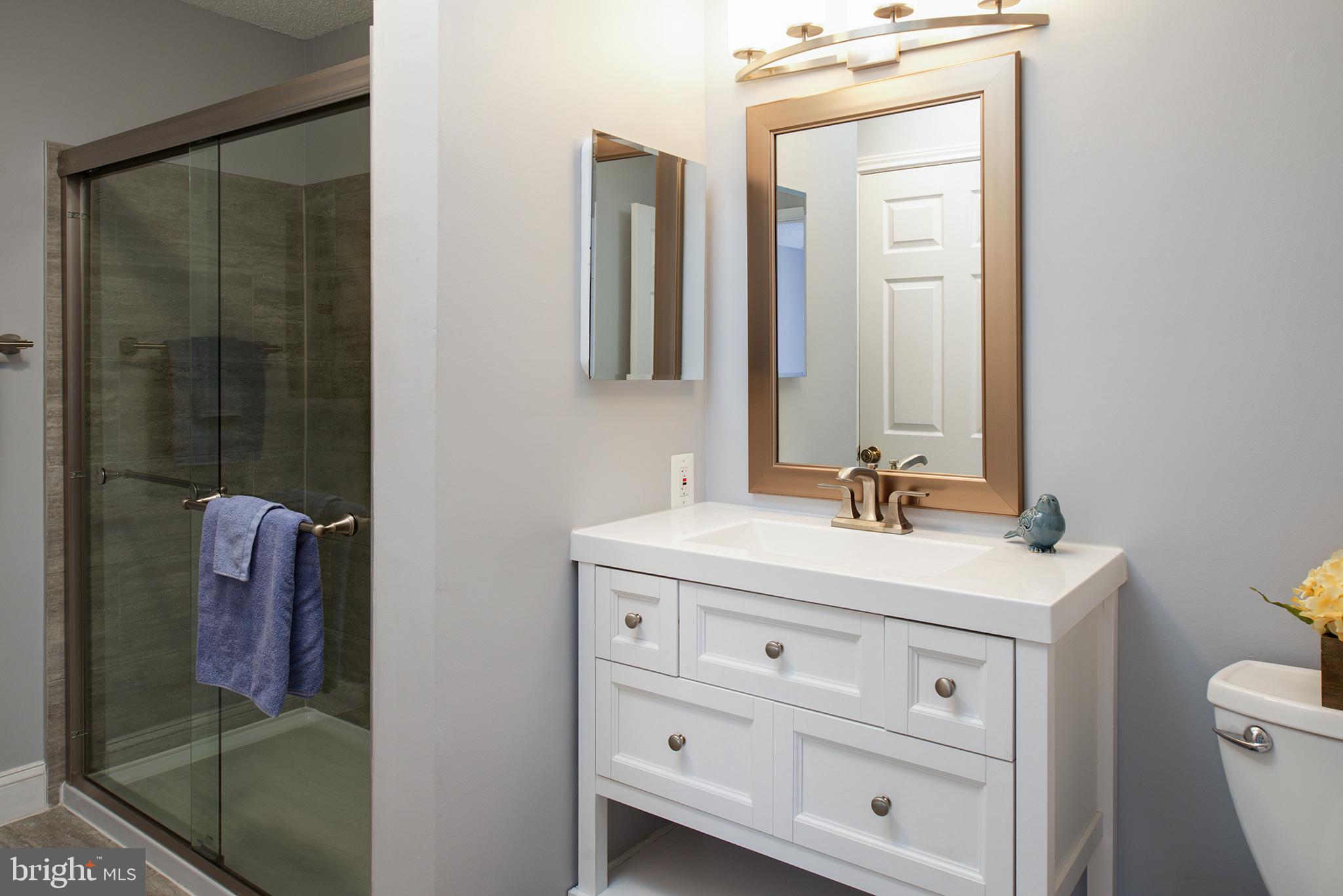 20951 Timber Ridge Terrace, Unit 202 Ashburn, VA 20147 - Photo 8 of 16 Beautifully updated bathroom!
