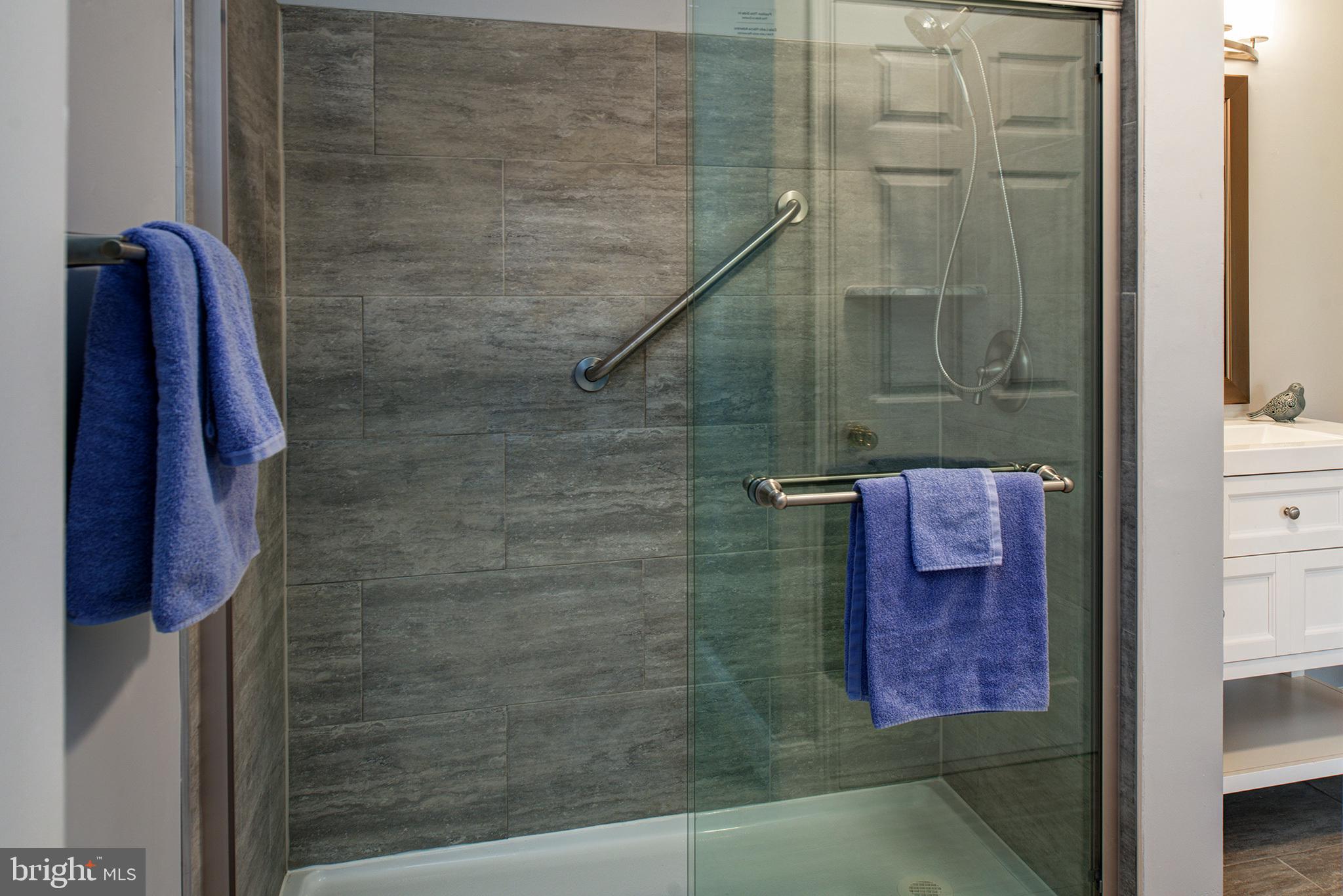 20951 Timber Ridge Terrace, Unit 202 Ashburn, VA 20147 - Photo 9 of 16 Stunning new shower with glass doors