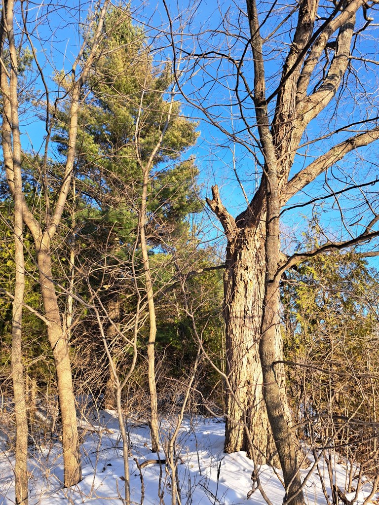 County Road East Baileys Harbor, WI 54202 - Photo 6 of 6