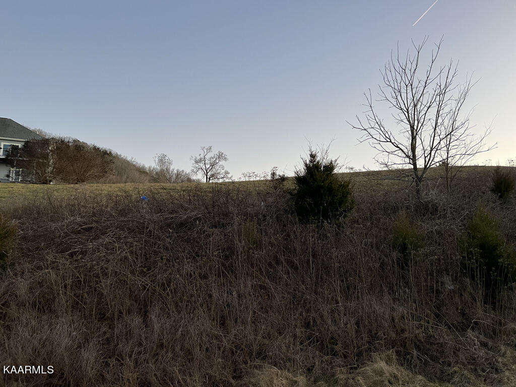 Lot 673 Russell Br Road Sharps Chapel, TN 37866 - Photo 17 of 46 L673 Russell Br, Sunset Bay, Norris Lake