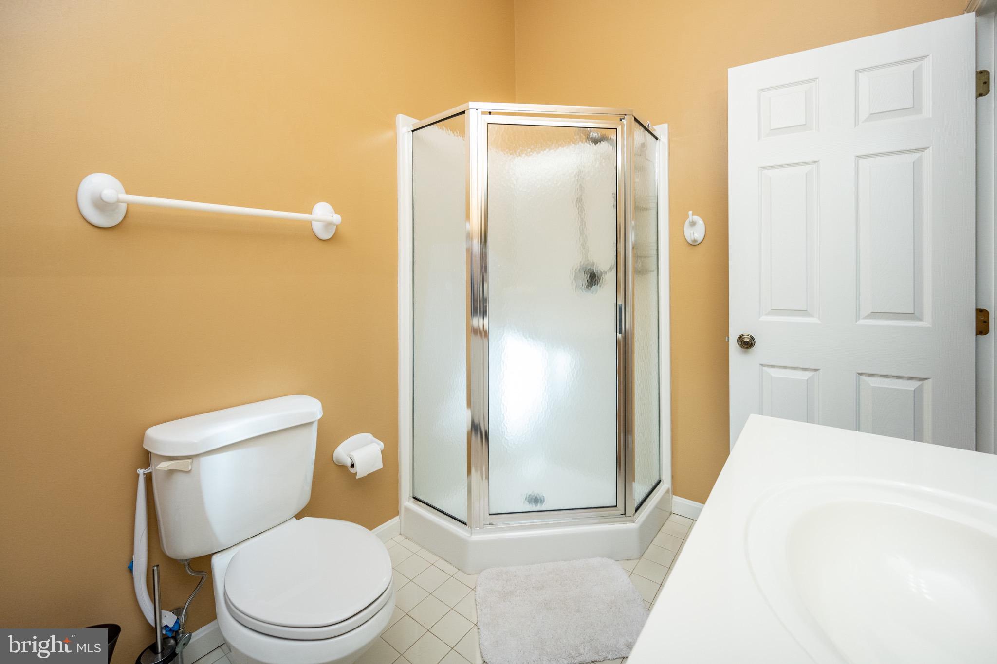130 Timberloft Circle, Unit 14 Oakland, MD 21550 - Photo 47 of 79 Primary Bathroom