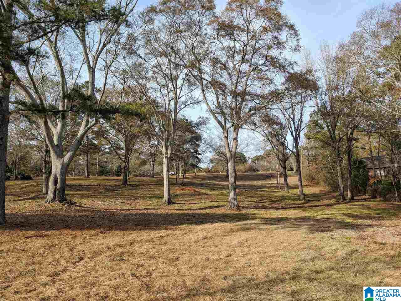 4808 Masters Road Pell City, AL 35128 - Photo 8 of 26