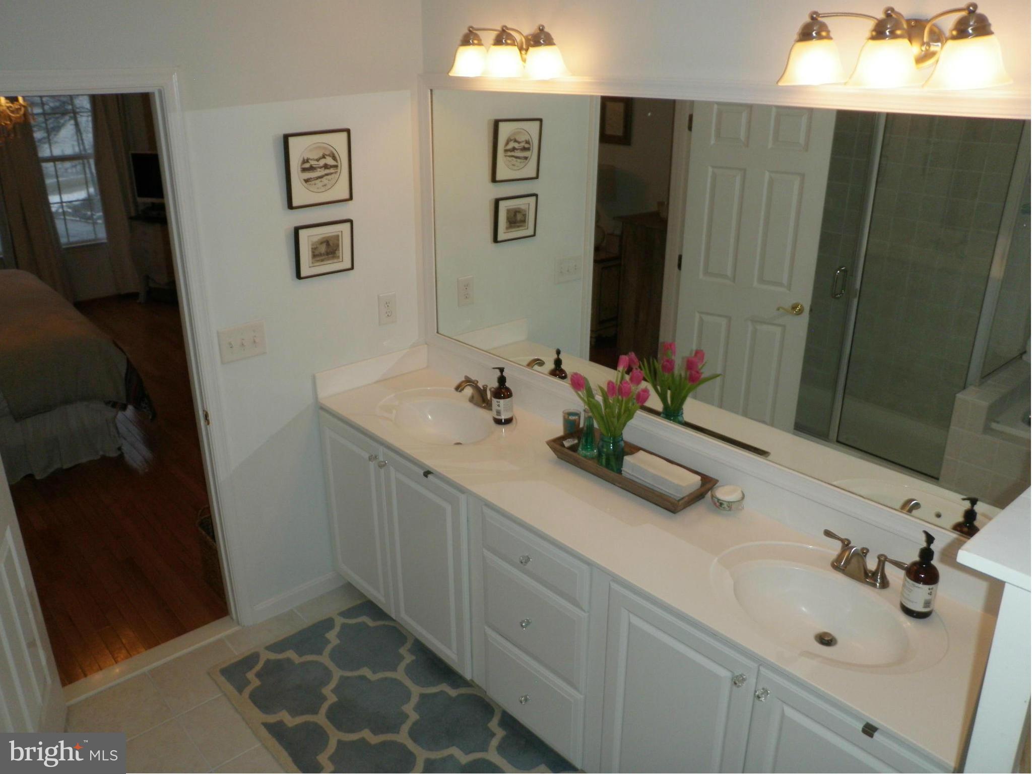 107 Shore Road Arnold, MD 21012 - Photo 24 of 30 Bath (Master)