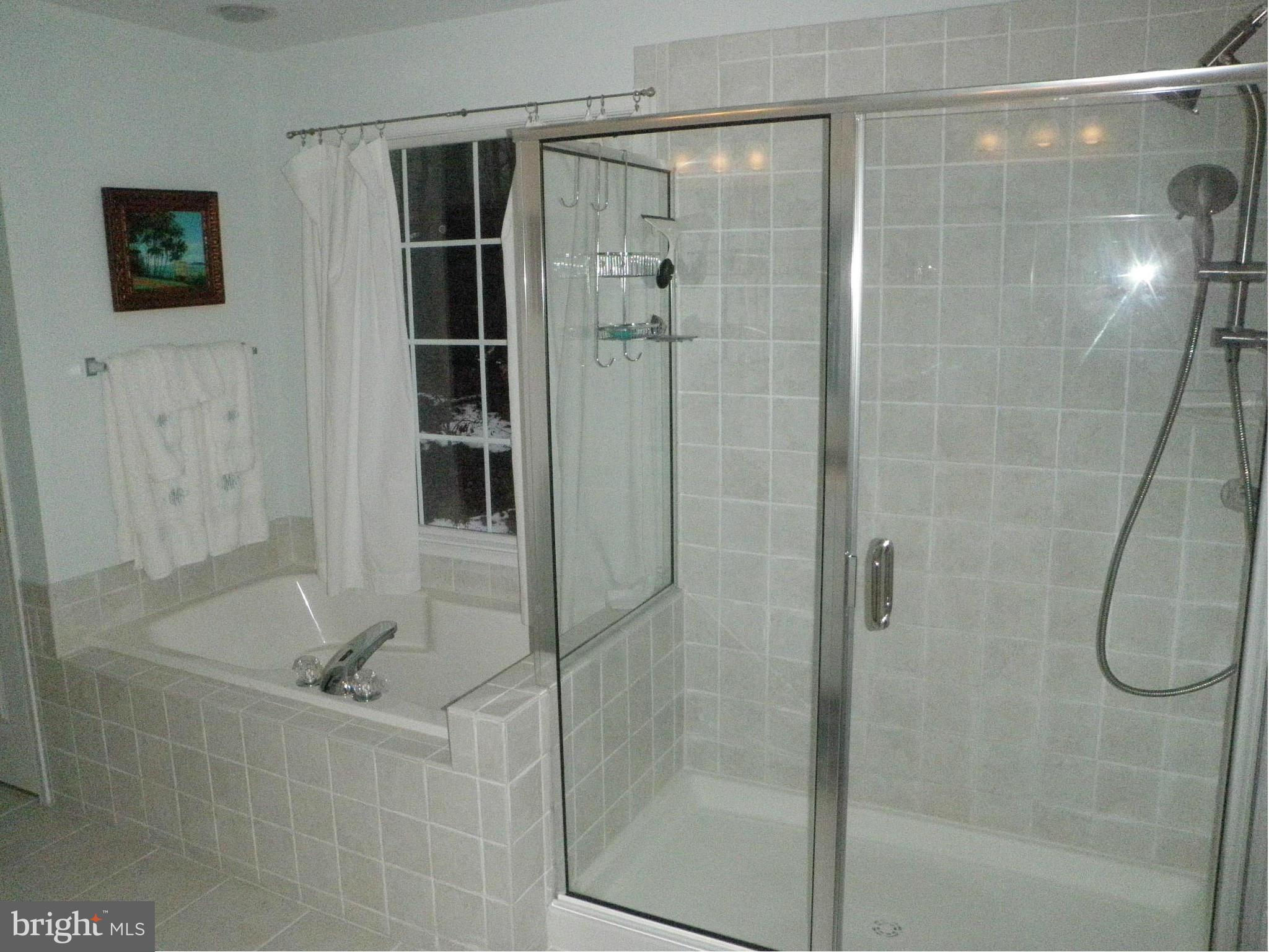 107 Shore Road Arnold, MD 21012 - Photo 25 of 30 Bath (Master)