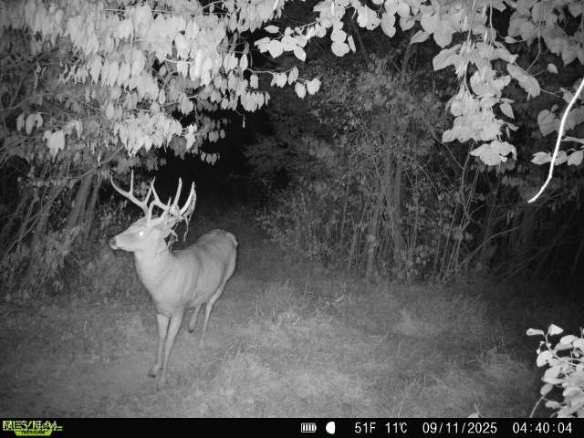 99 County Road Warsaw, OH 43844 - Photo 2 of 5 Exterior view