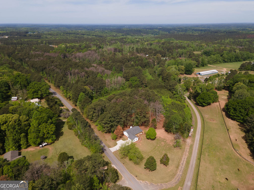 0 Beavers Road Grantville, GA 30220 - Photo 9 of 11