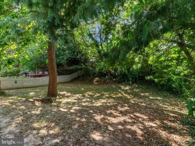 a view of a tree in a yard