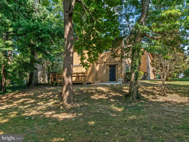 a view of a yard with plants and trees