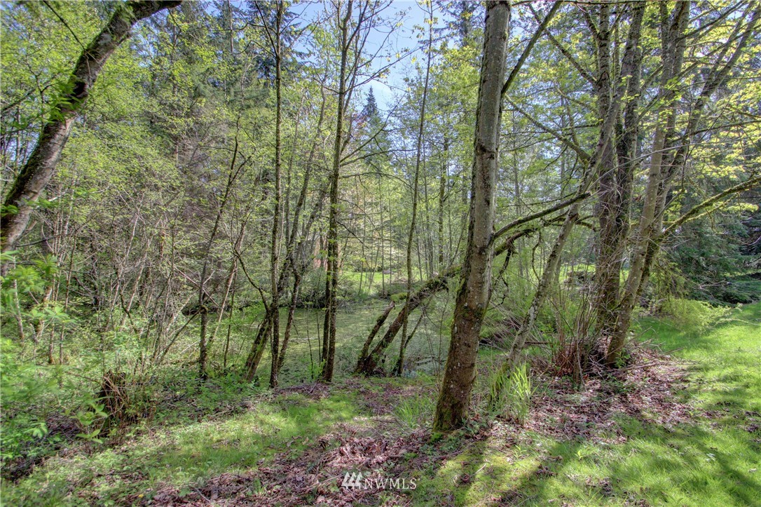 1163 Kelly Road Bellingham, WA 98226 - Photo 5 of 25