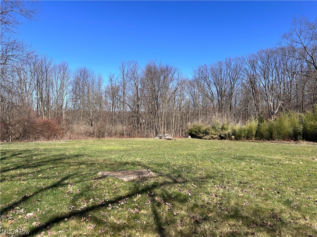 11617 Springfield Road North Lima, OH 44452 - Photo 5 of 28 View of yard