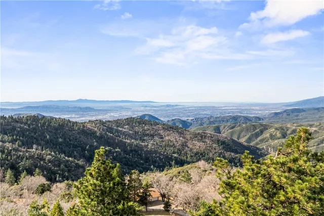 an aerial view of mountain and tree