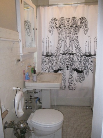 1234 East Madison Park, Unit 3W Chicago, IL 60615 - Photo 17 of 18