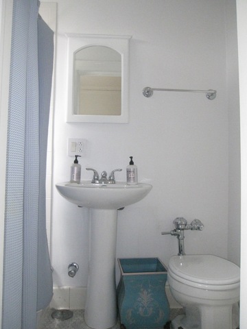 1234 East Madison Park, Unit 3W Chicago, IL 60615 - Photo 18 of 18