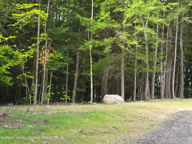 $180,000 | Tbd Tbd Avery Hand Lane, East Nassau, NY 12062