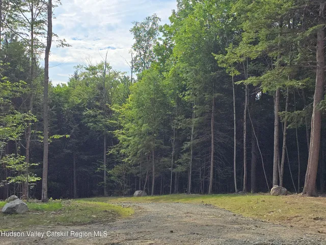 $180,000 | Tbd Tbd Avery Hand Lane, East Nassau, NY 12062