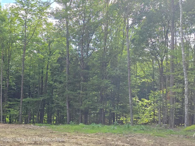 $180,000 | Tbd Tbd Avery Hand Lane, East Nassau, NY 12062