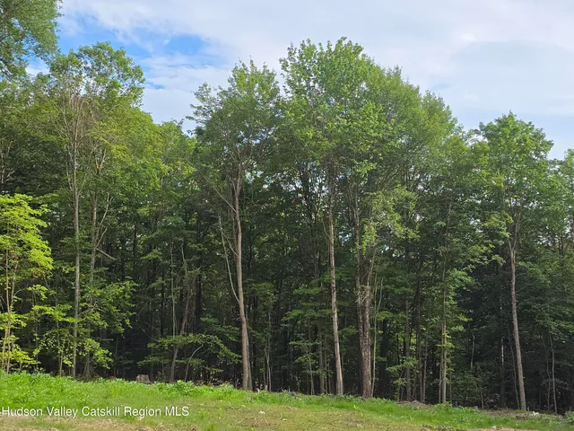 $180,000 | Tbd Tbd Avery Hand Lane, East Nassau, NY 12062