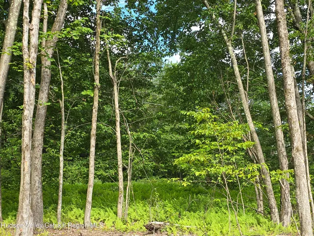 $180,000 | Tbd Tbd Avery Hand Lane, East Nassau, NY 12062