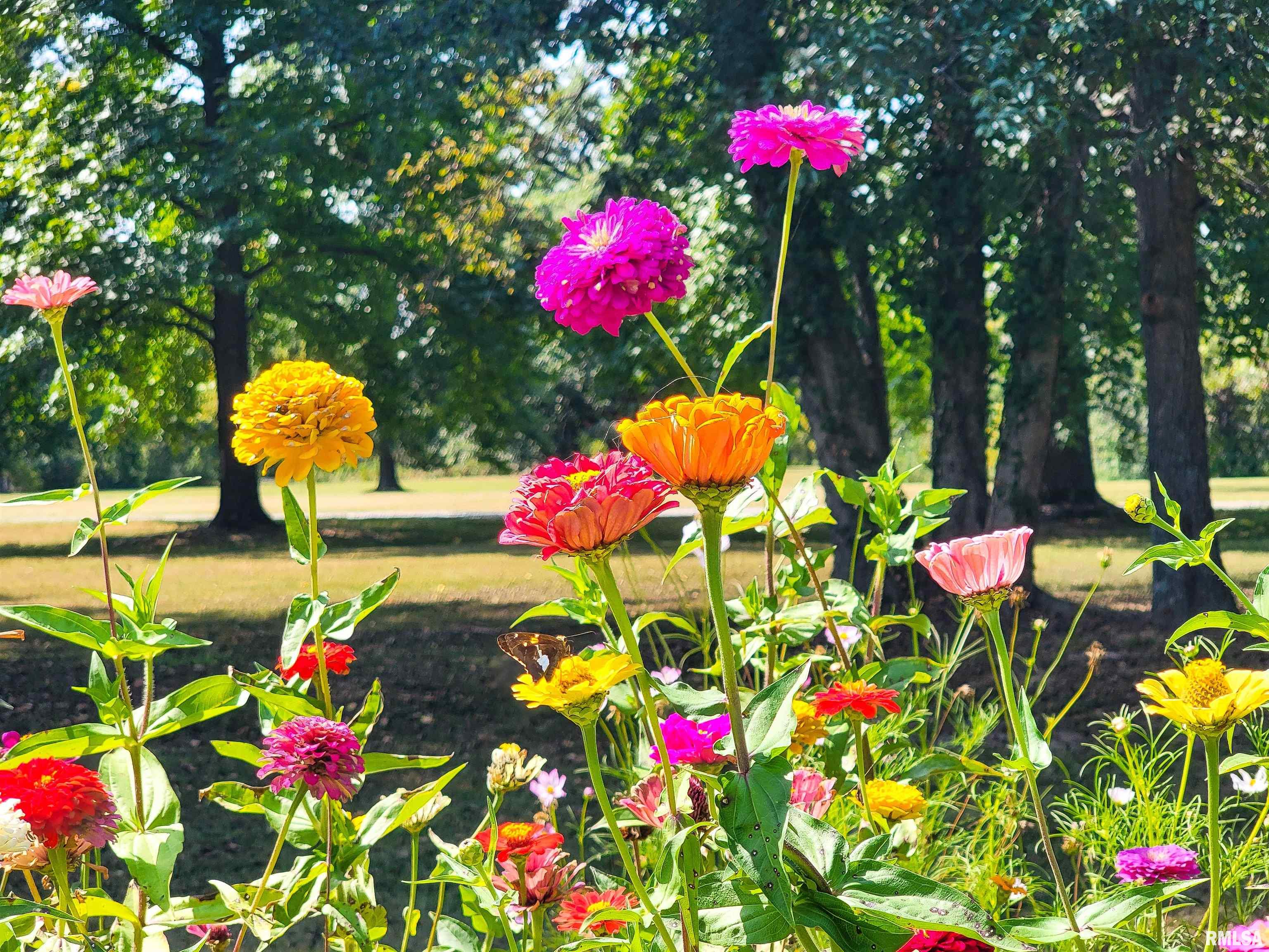 62 Hancock Drive Flora, IL 62839 - Photo 83 of 97