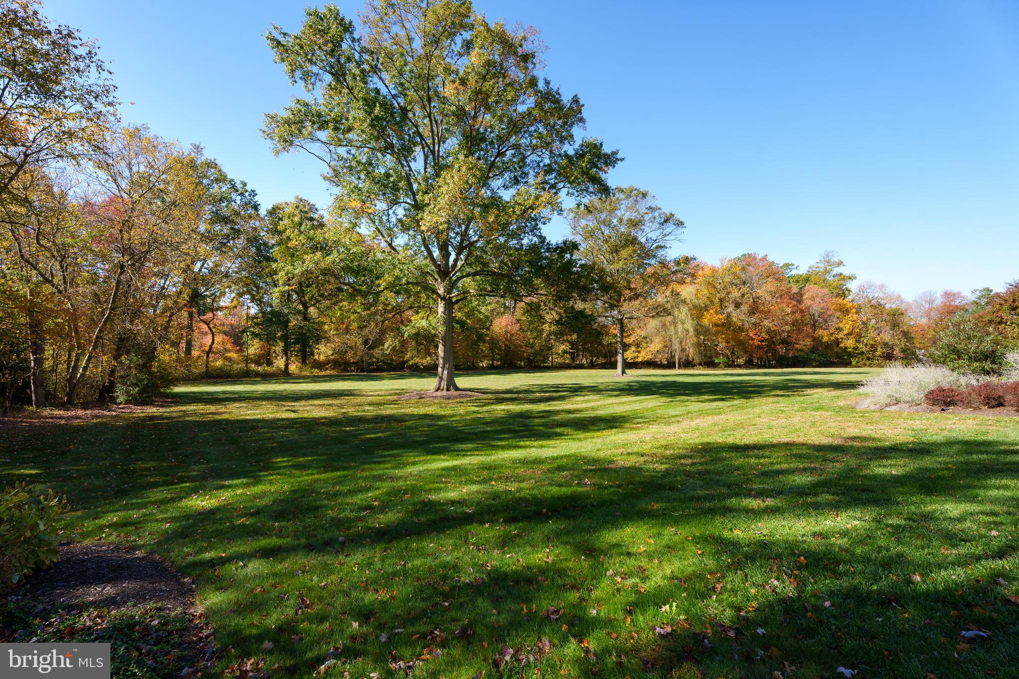 213 Cranbury Neck Road Cranbury, NJ 08512 - Photo 38 of 51