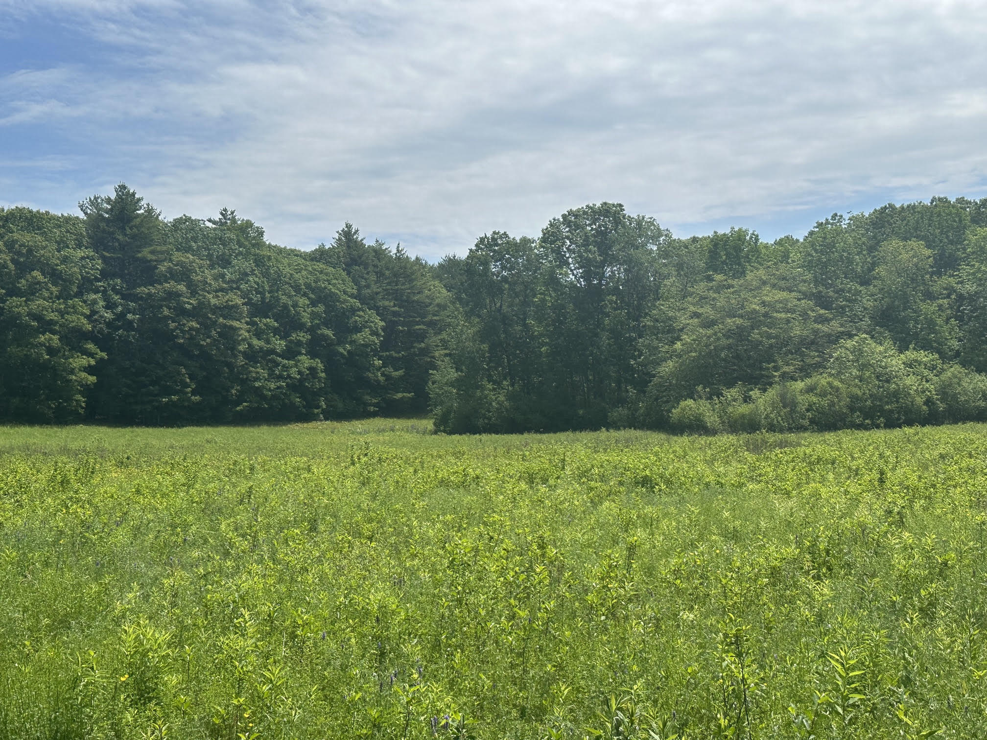 37 Herrick Road Belfast, ME 04915 - Photo 5 of 14 6