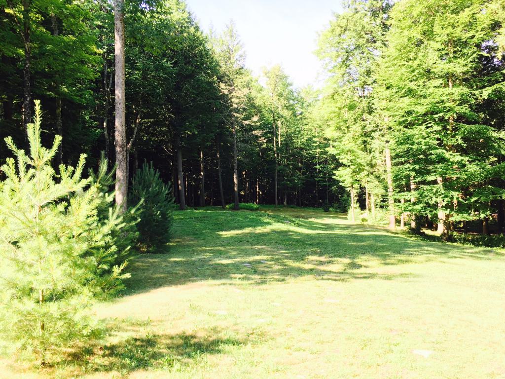 5191 Woodstock Road Hartford, VT 05059 - Photo 3 of 10 Gallery Image 3