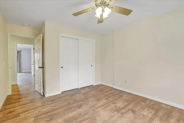 a view of a garden with a tree