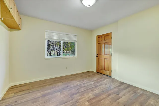 a view of a park with large trees