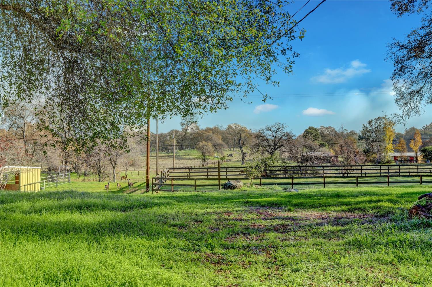 19310 John Born Road Penn Valley, CA 95946 - Photo 45 of 78 a view of grassy field with trees