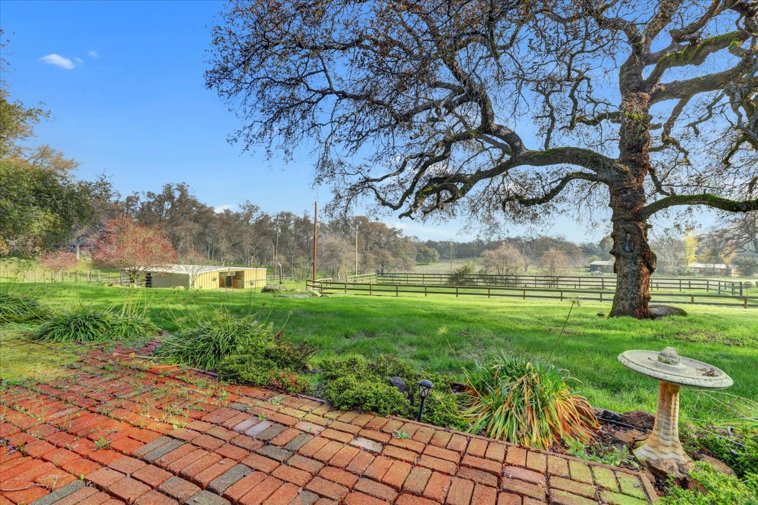 19310 John Born Road Penn Valley, CA 95946 - Photo 49 of 78 View from the back patio