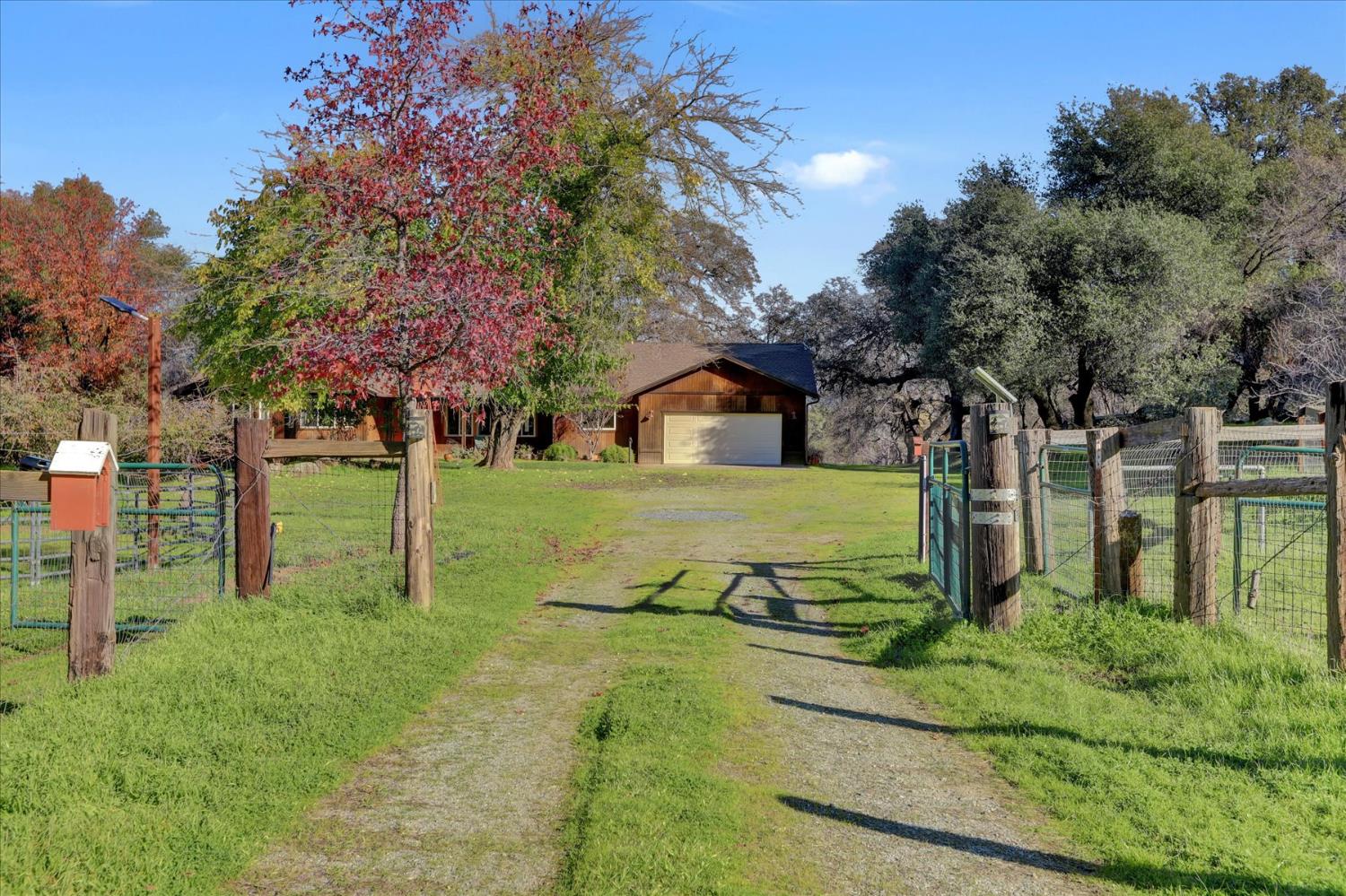 19310 John Born Road Penn Valley, CA 95946 - Photo 53 of 78 a view of backyard of house with green space