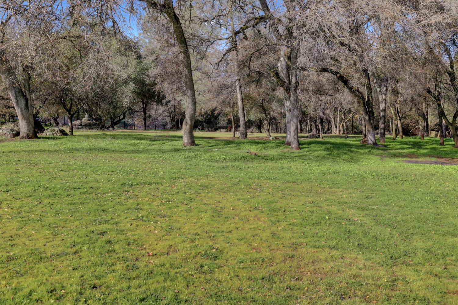 19310 John Born Road Penn Valley, CA 95946 - Photo 56 of 78