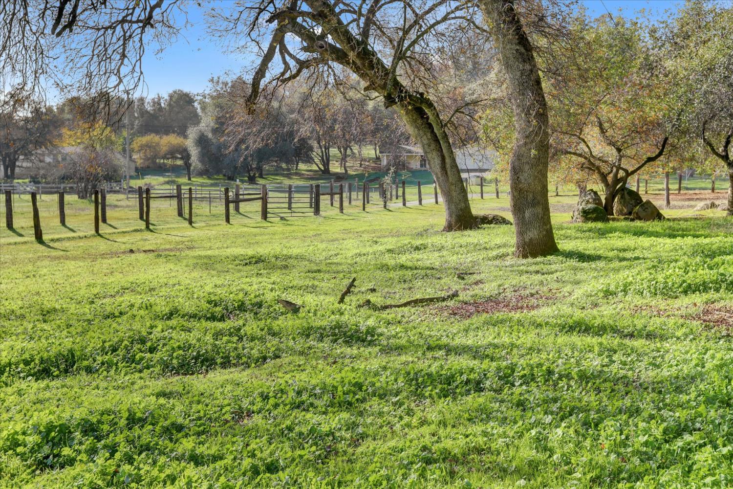 19310 John Born Road Penn Valley, CA 95946 - Photo 58 of 78 a view of park