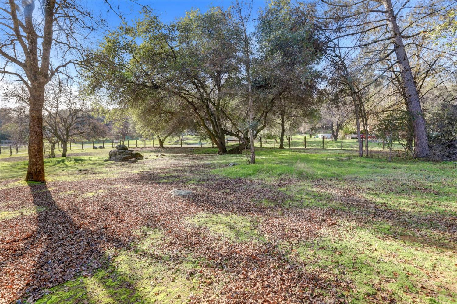 19310 John Born Road Penn Valley, CA 95946 - Photo 60 of 78