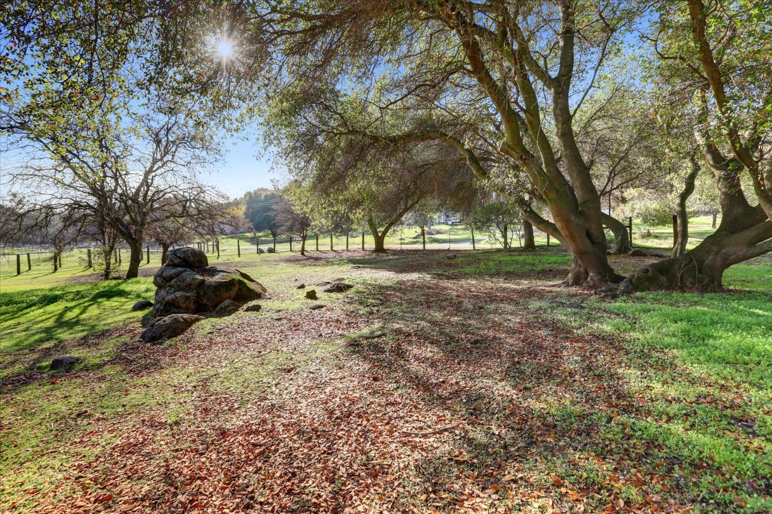 19310 John Born Road Penn Valley, CA 95946 - Photo 61 of 78