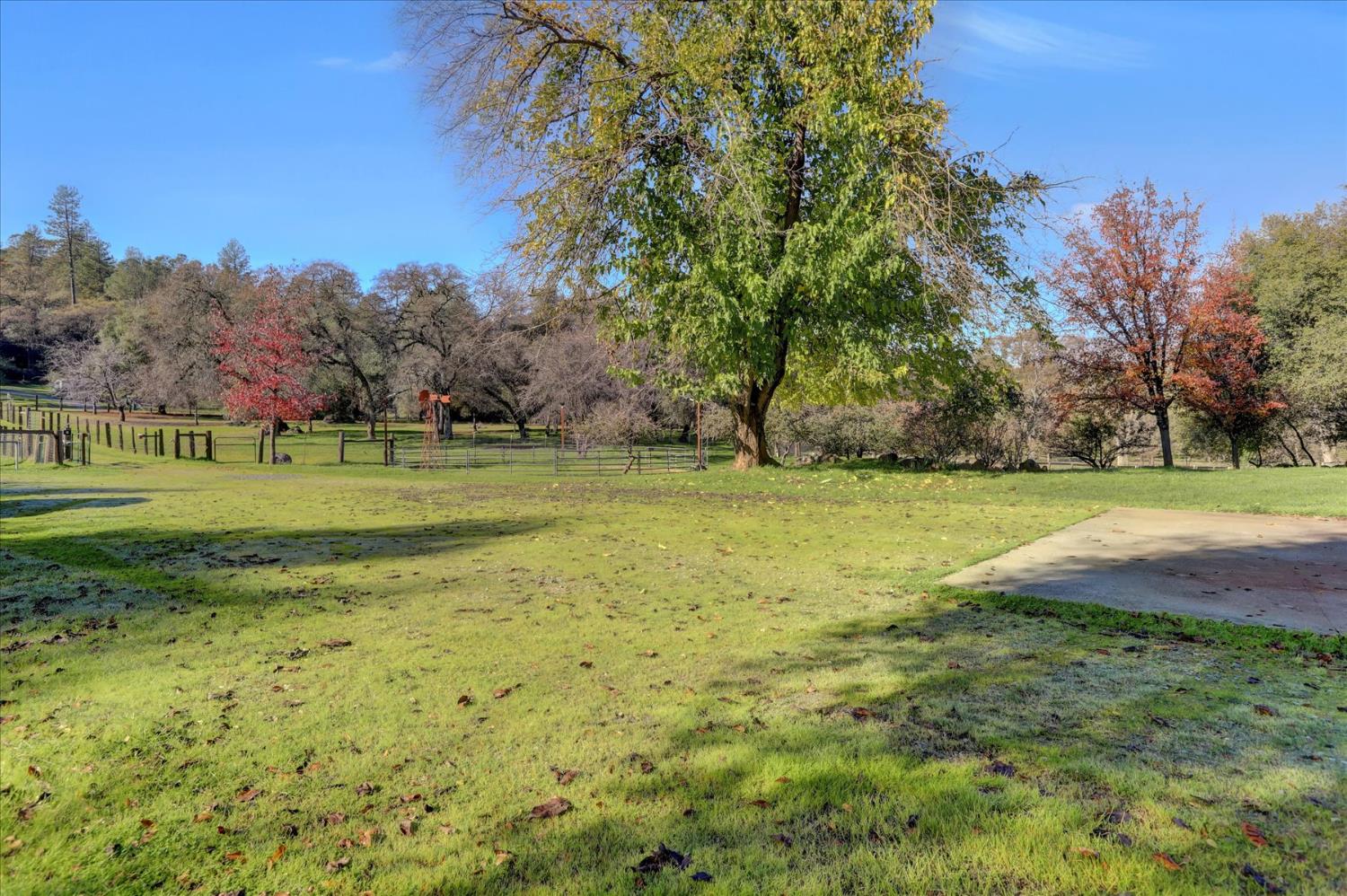 19310 John Born Road Penn Valley, CA 95946 - Photo 66 of 78 a view of a park with large trees