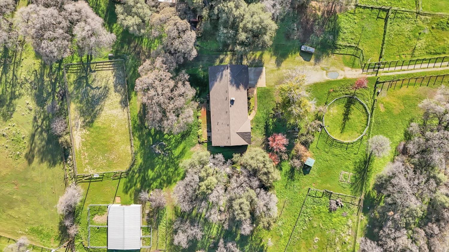 19310 John Born Road Penn Valley, CA 95946 - Photo 67 of 78 view of a garden