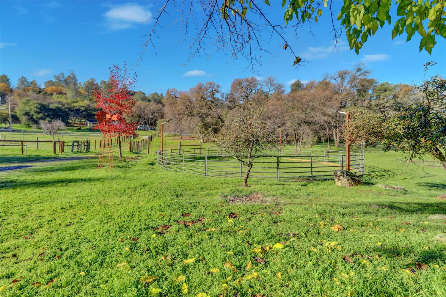 19310 John Born Road Penn Valley, CA 95946 - Photo 70 of 78 a view of a park with large trees