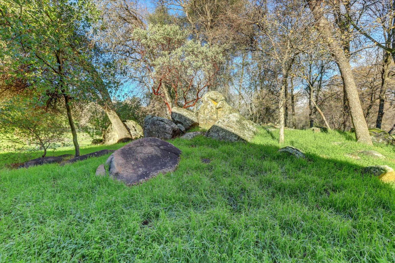 19310 John Born Road Penn Valley, CA 95946 - Photo 73 of 78