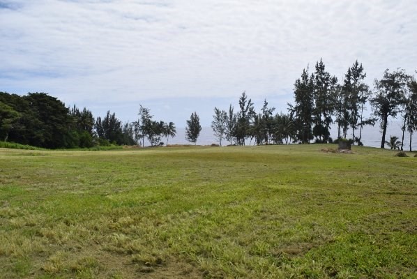 24 Lot Pepeekeo, HI 96783 - Photo 7 of 18