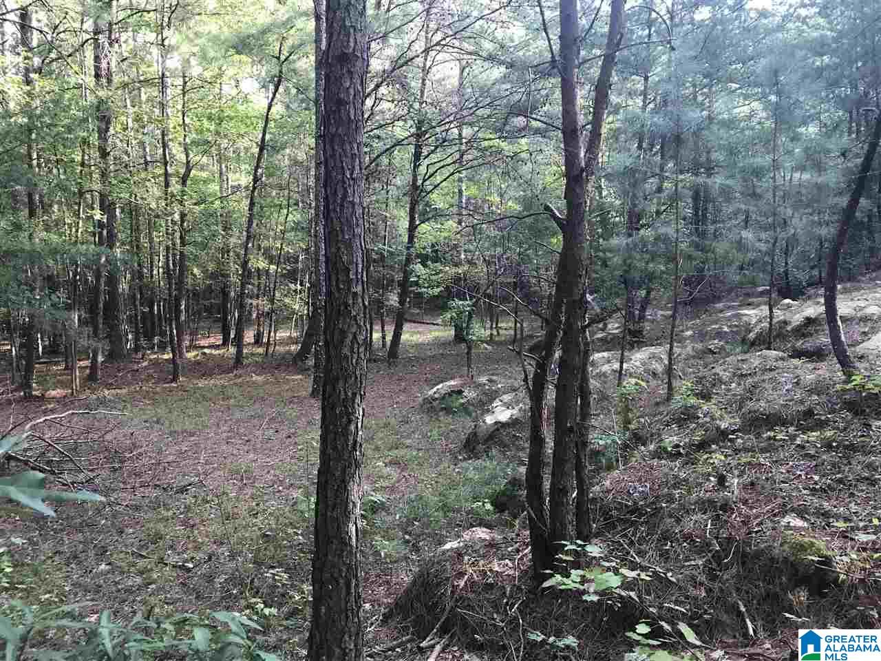 6791 Happy Hollow Road Trussville, AL 35173 - Photo 47 of 50