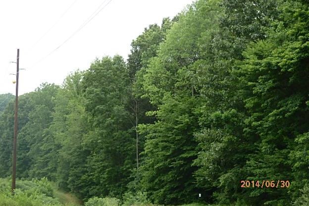 East Spillway Road Unionville, IN 47468 - Photo 1 of 3