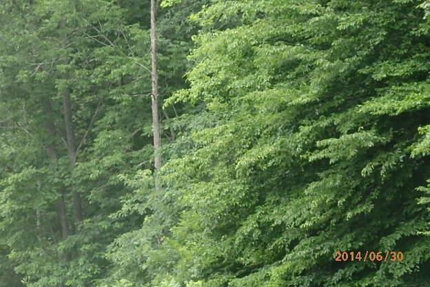East Spillway Road Unionville, IN 47468 - Photo 2 of 3