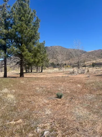 a view of outdoor space with trees