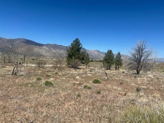a view of a dry yard with mountains in the background